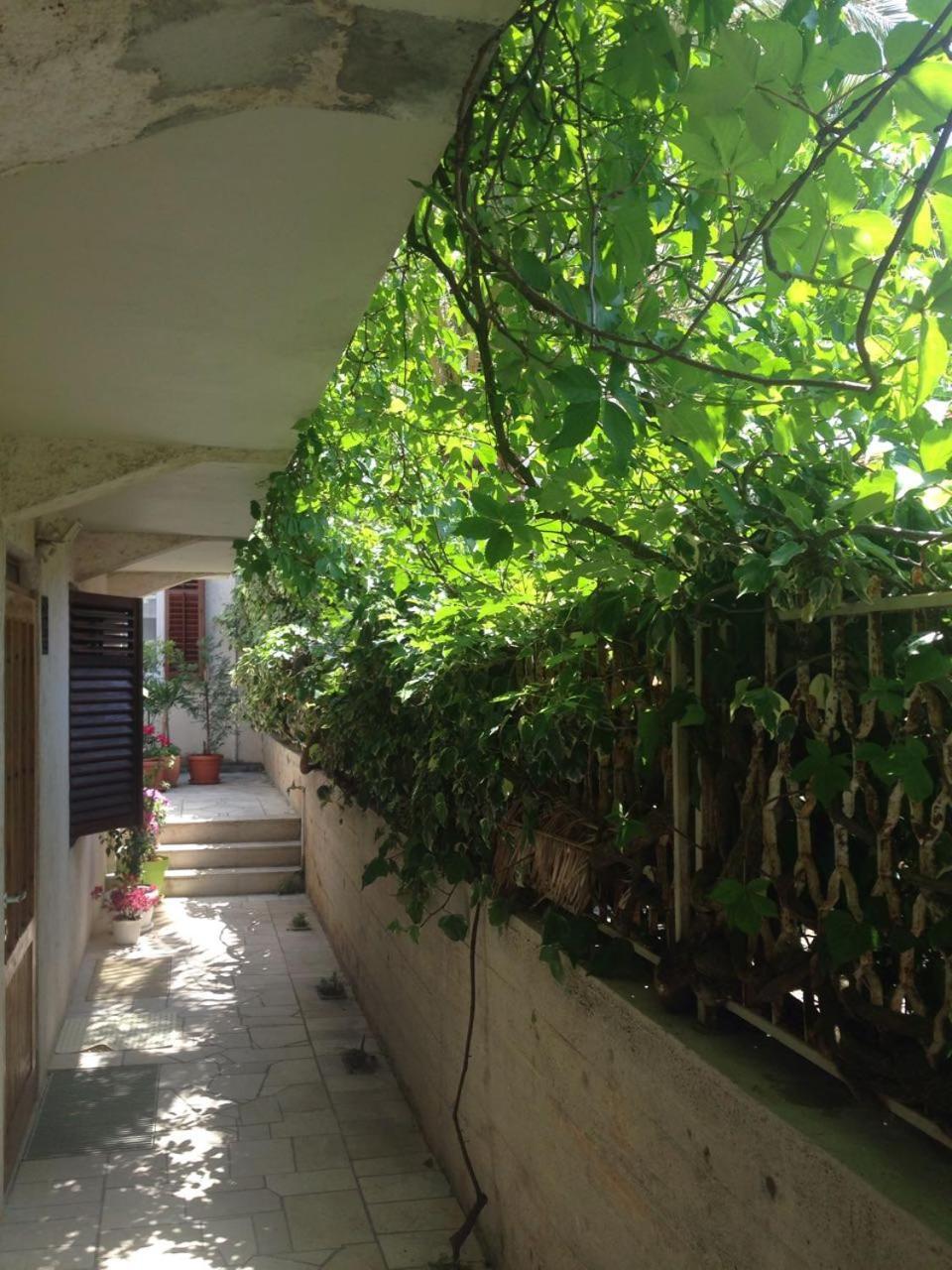 Ferienwohnung Happy Dubrovnik Centre-Free Parking Exterior foto